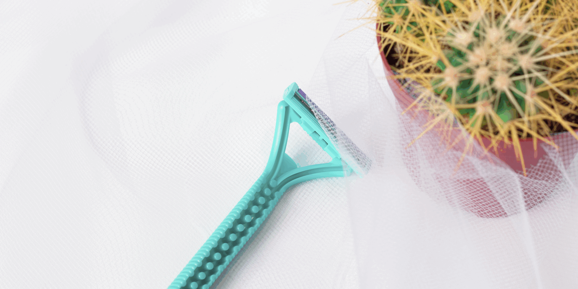 Stacheln_Rasur.png Ein grüner Rasierer liegt neben einem Topf mit einem Kaktus, umgeben von einem transparenten Stoff.