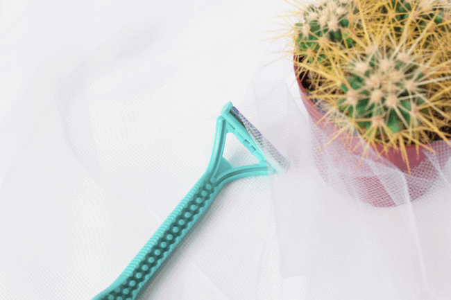 Ein grüner Rasierer liegt neben einem Topf mit einem Kaktus, umgeben von einem transparenten Stoff.