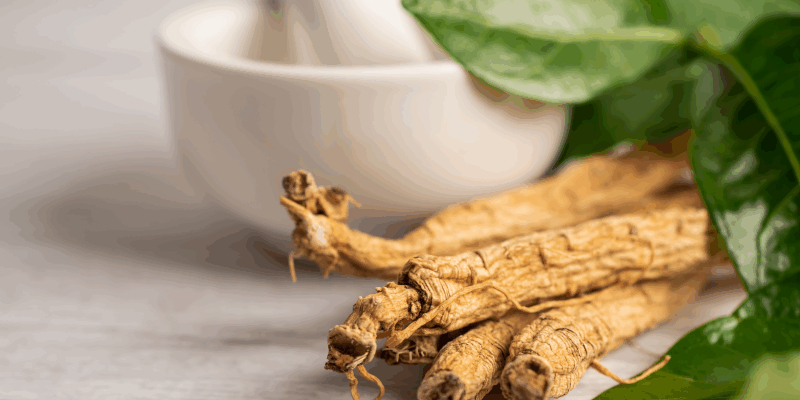 Drei getrocknete Wurzeln liegen auf einem Tisch mit einem Mörser und frischen Blättern im Hintergrund.