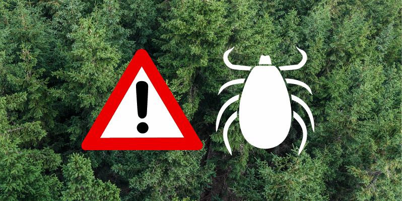 Waldlandschaft mit einer Warnsymbolik und grafischem Hinweis auf Zecken.