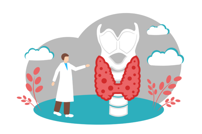 Mediziner erklärt die Schilddrüse, dargestellt als anatomisches Modell, umgeben von Pflanzen und Wolken.