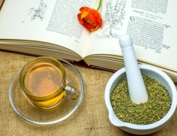 Zistrose, Teezubereitung mit Kräuterbuch